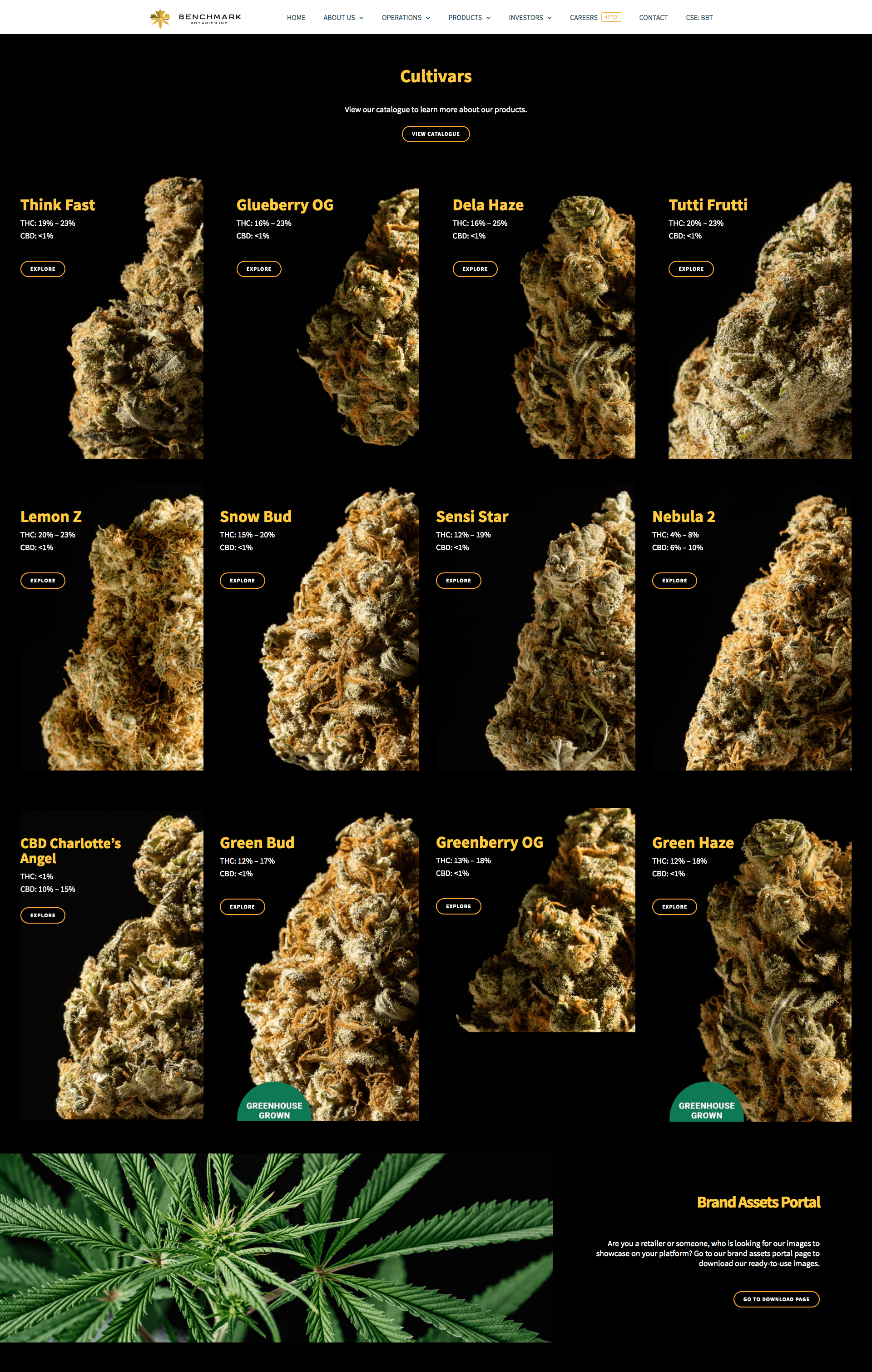 Benchamrk Botanics Inc. - Cultivars