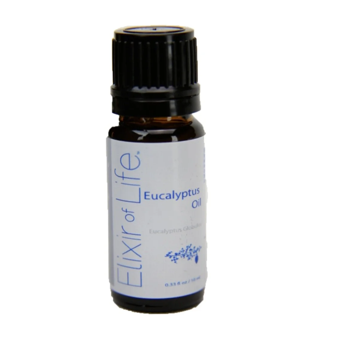 Eucalyptus+oil.jpg
