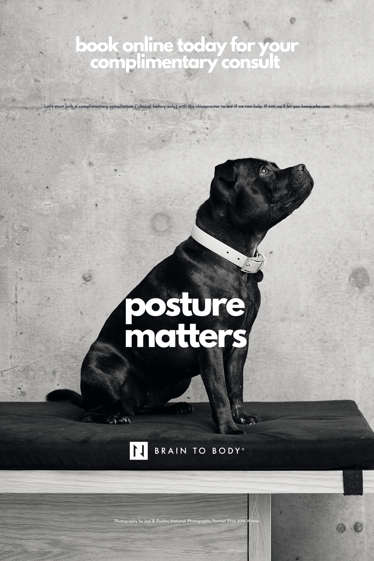 Posture matters Complimentary Consult.png