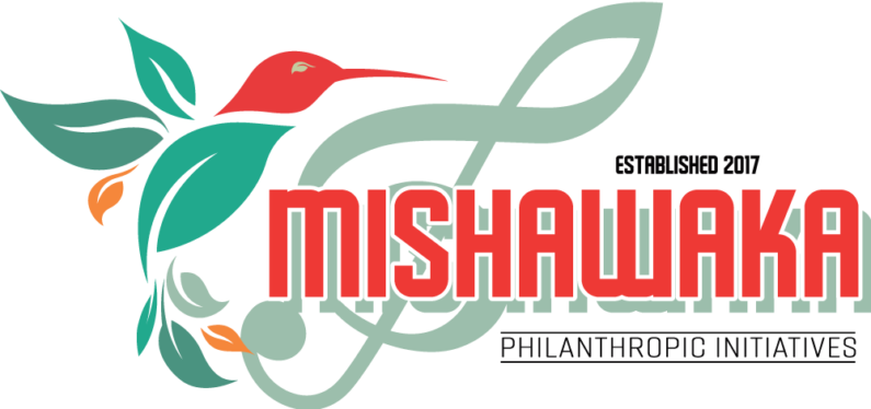 mish initiatives.png