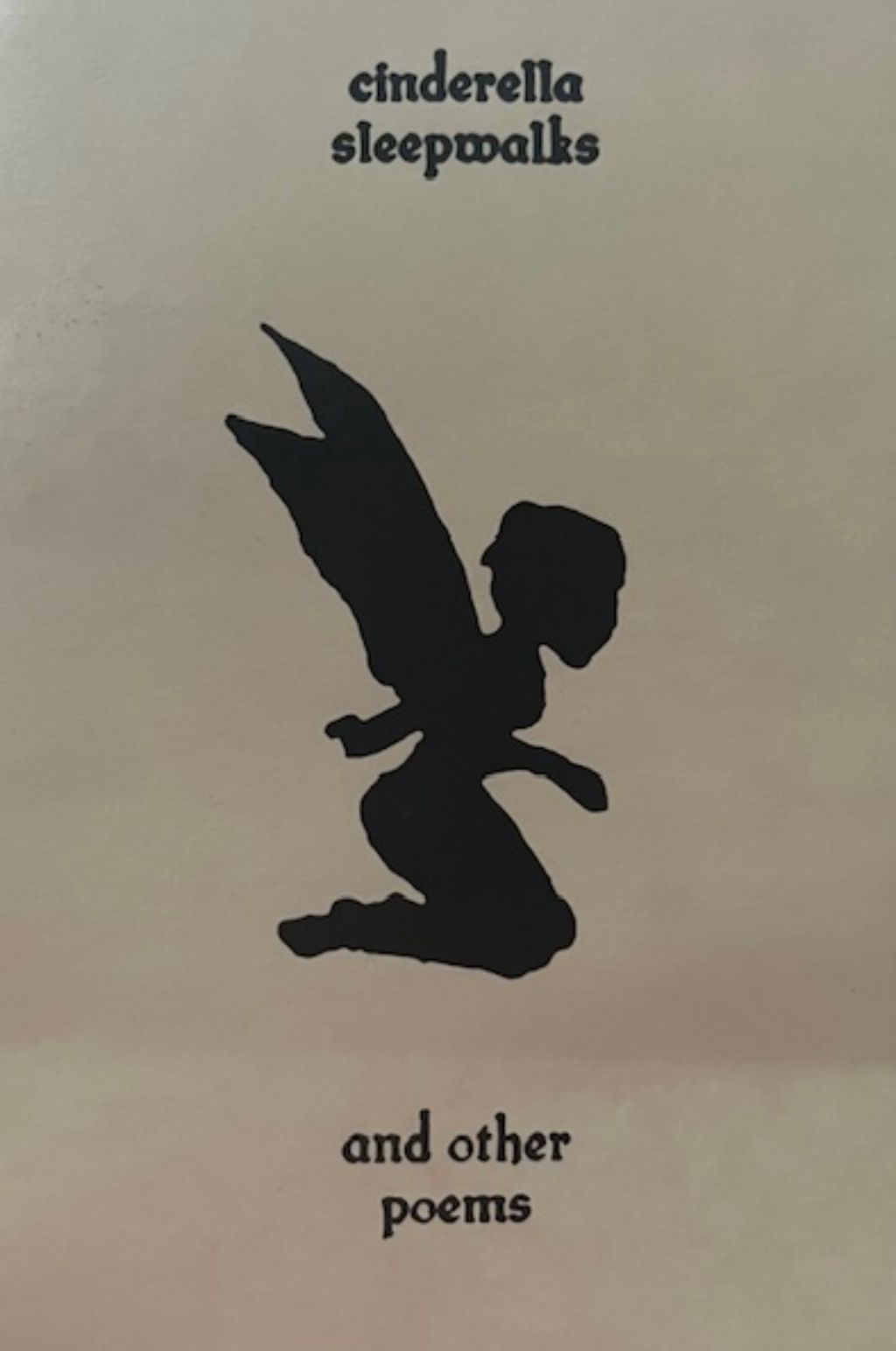 Amanda Eagleson book.png