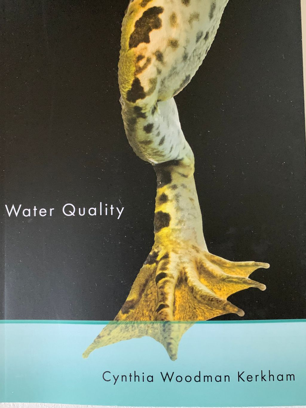 Cynthia Woodman Kerkham book.png