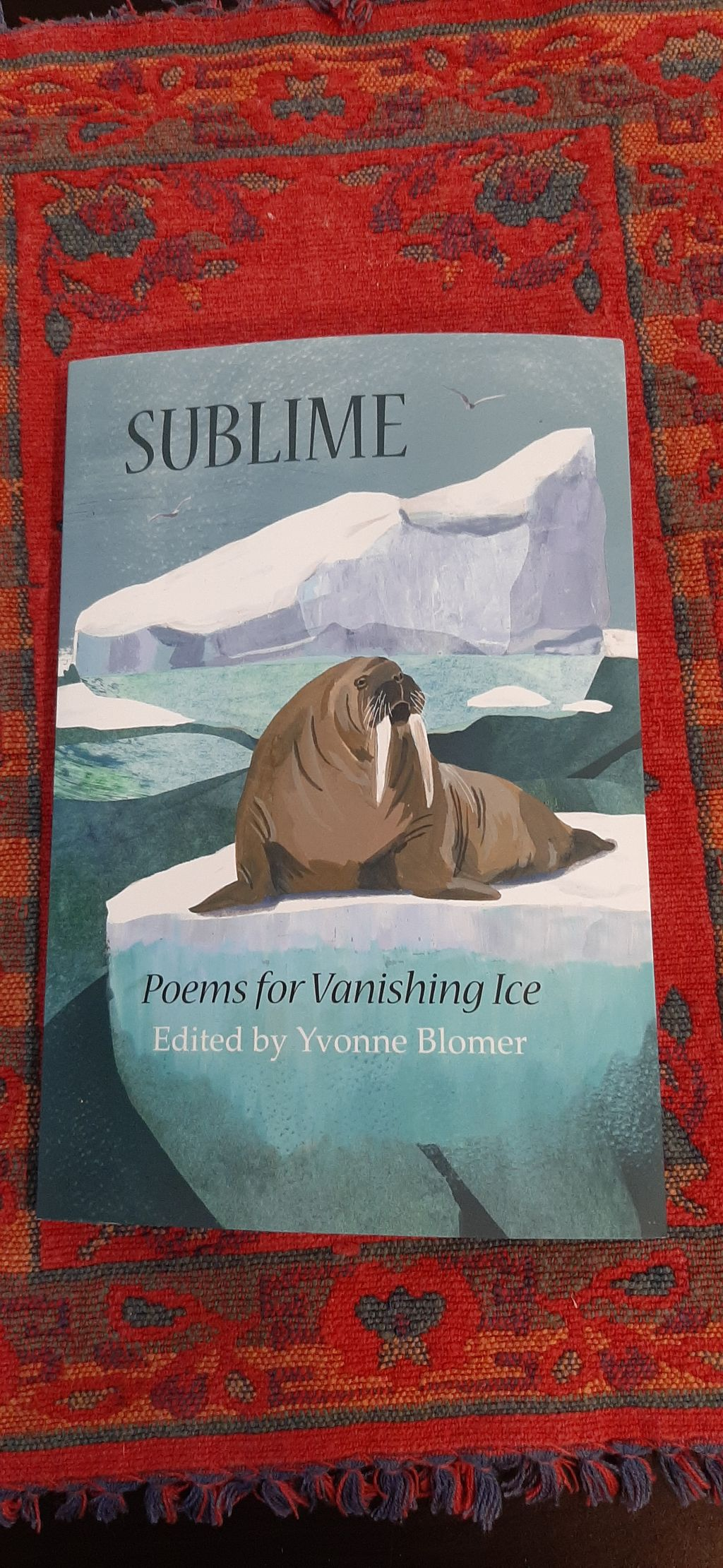 Murray Mann book.png