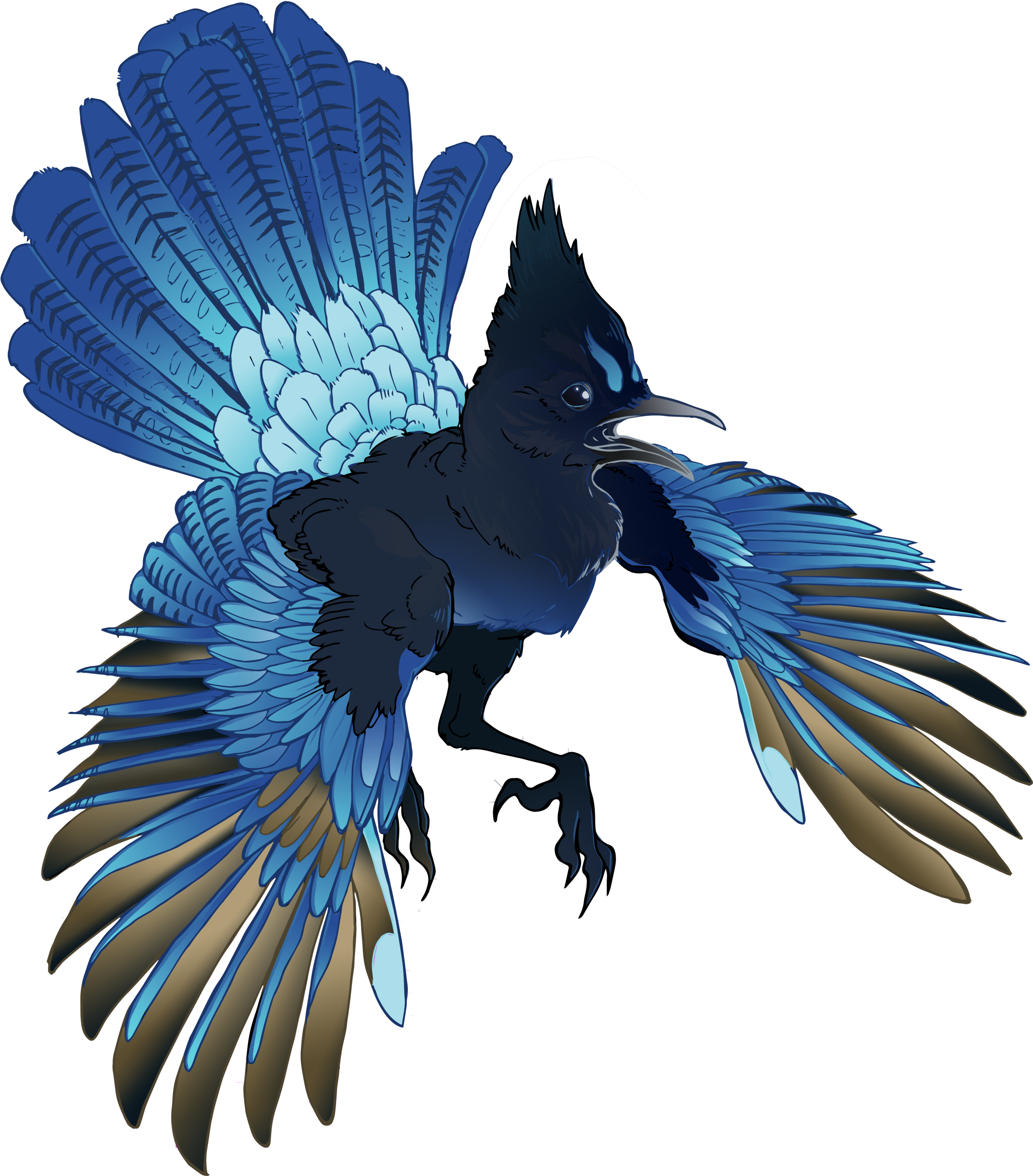 stellerjay_holo_sticker_colour2.png