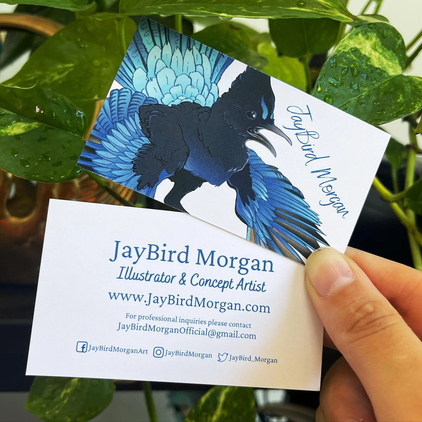 My new business cards arrived the other day and I have to say I&rsquo;m really stoked on them! Huge thank you to @karilynnedavies who was beyond generous in her help with these, as the first set are a gift from her. Having people who care openly and 