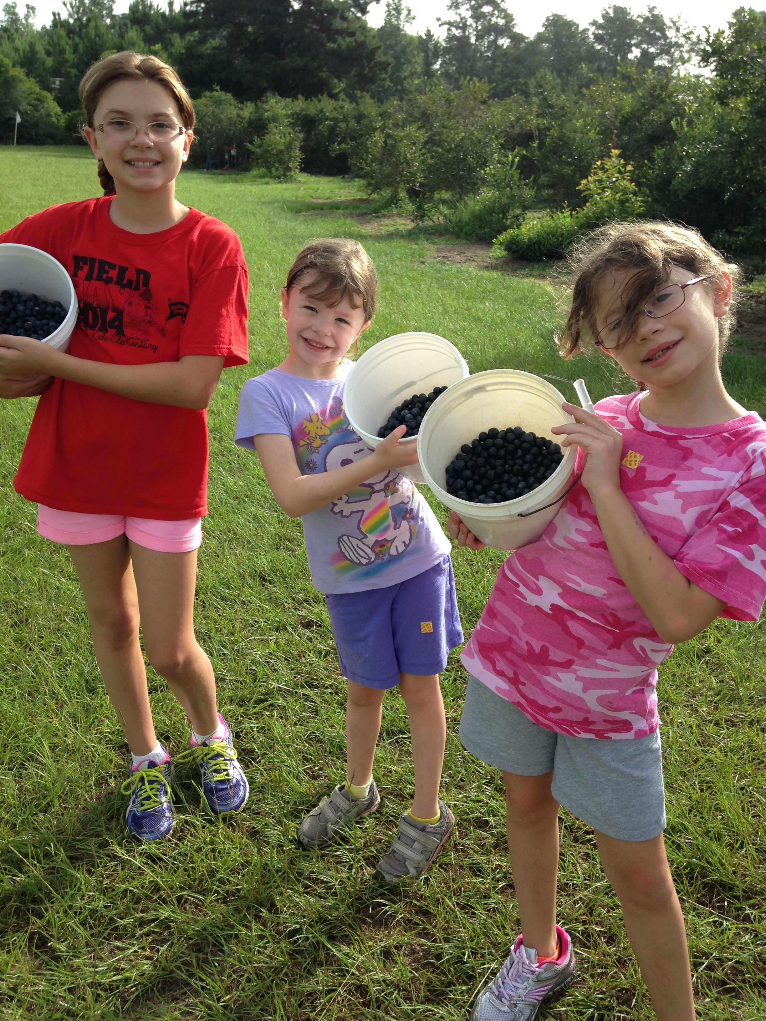  Elise (left) with her sisters, June 2014 