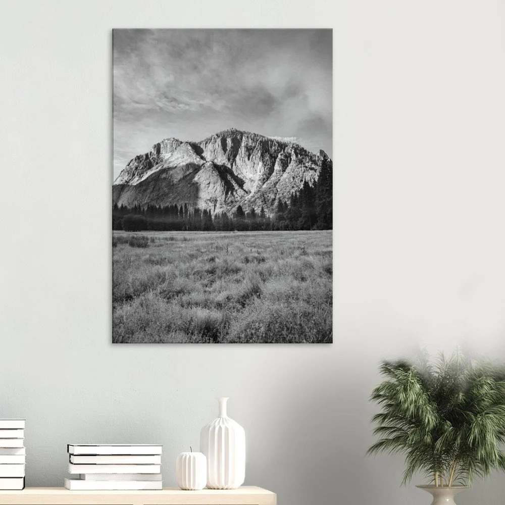 tmp-320-2j3eQ8fsyIBC