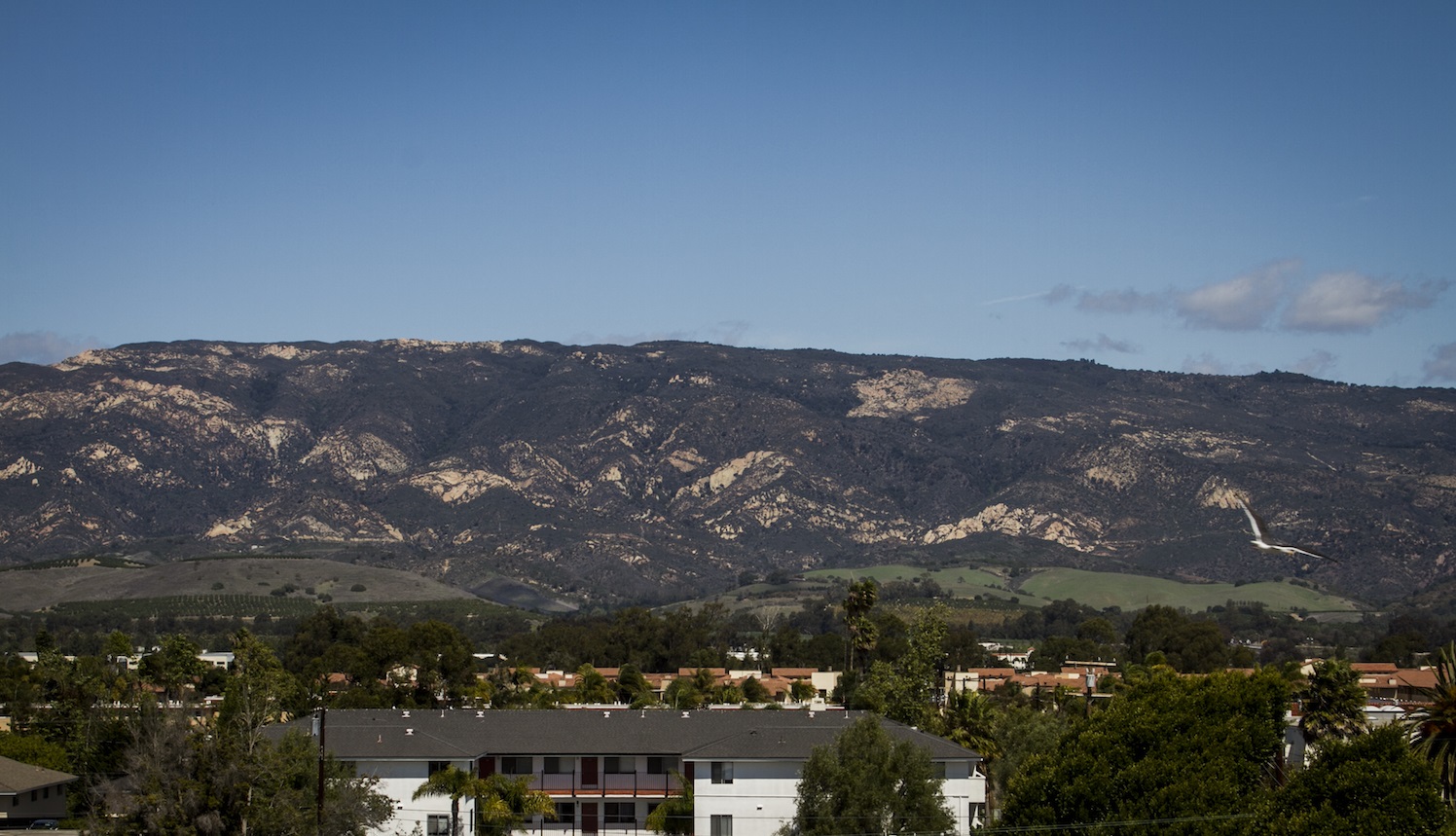 Mountainview.jpg