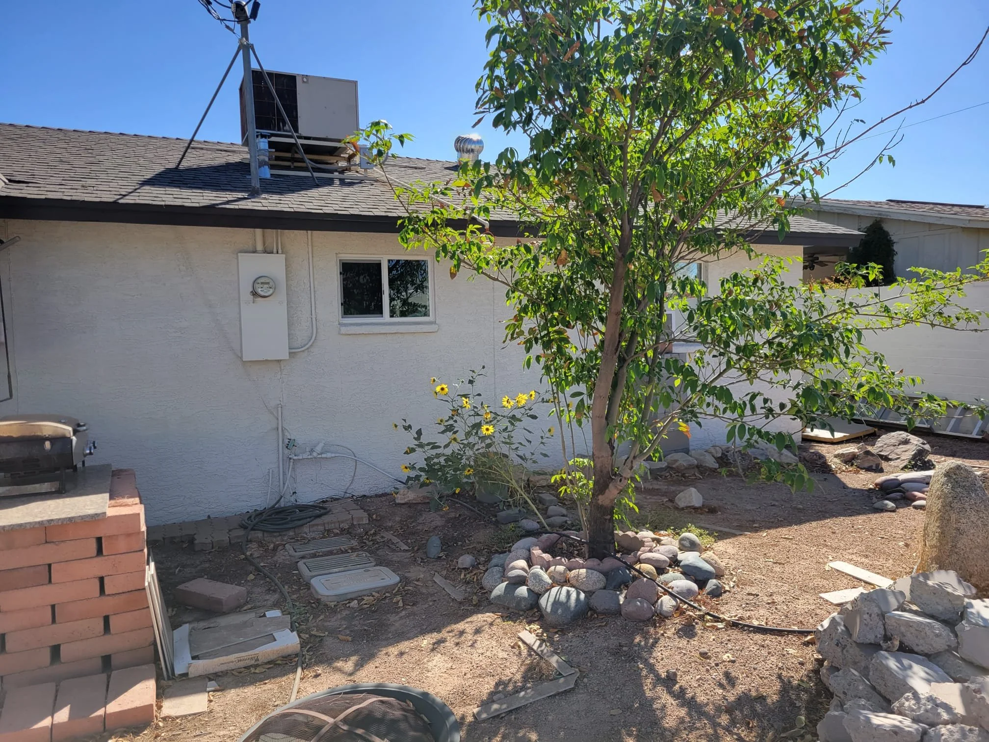 WhatsApp Image 2023-11-03 at 2.30.22 PM (5).jpeg