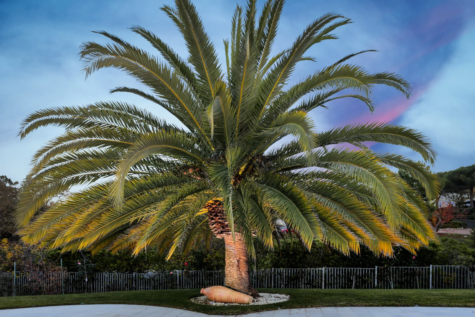 4256 Manuela Twilight Blu Skye Media-0804-Edit-X3.jpg