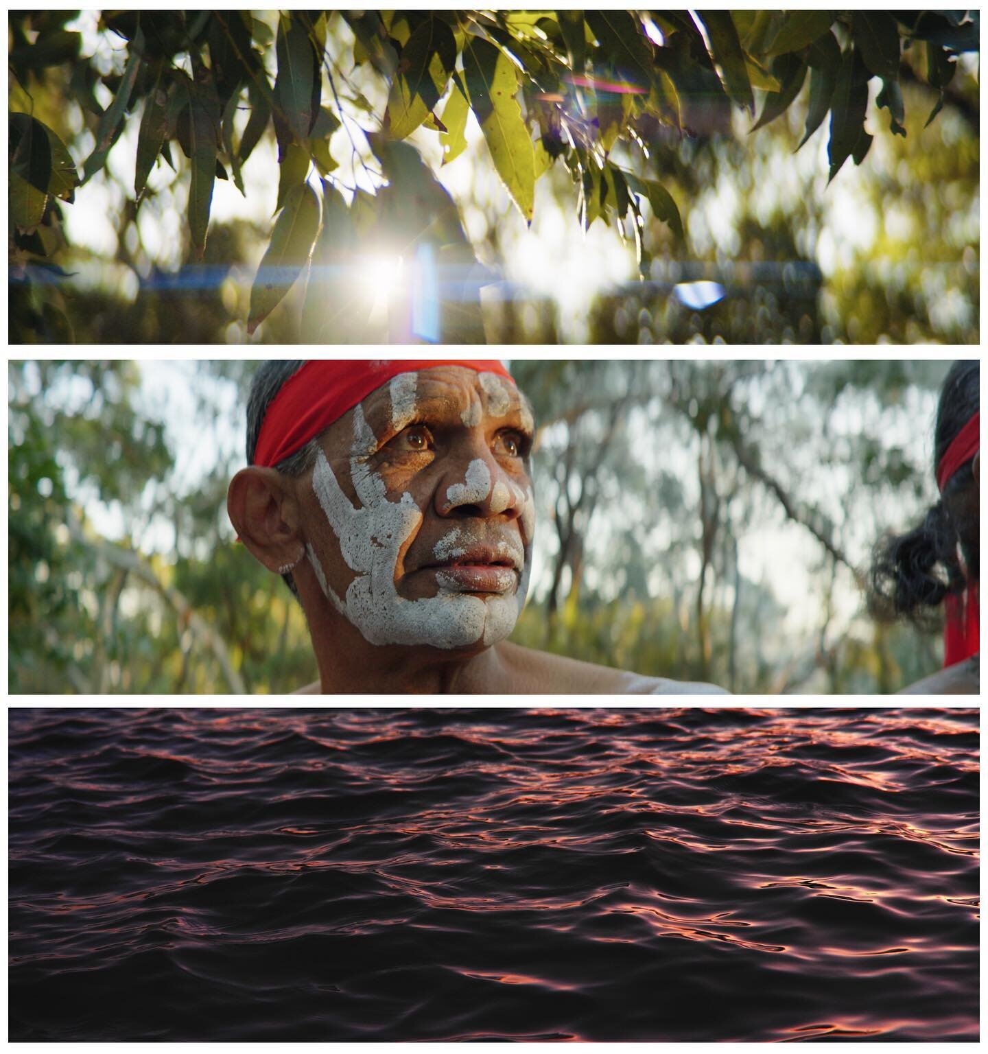 Georges River Artist in Residence - Hurstville Museum Gallery @hurstvillemuseumgallery @grcouncil

Production &nbsp;&bull; @hauspartyau
Director + DOP &bull; Elder @elderlad
Editor &bull; Kim Quint @kim.quint
Coloured by Jarryd Hall, CSI @jarrydhall_