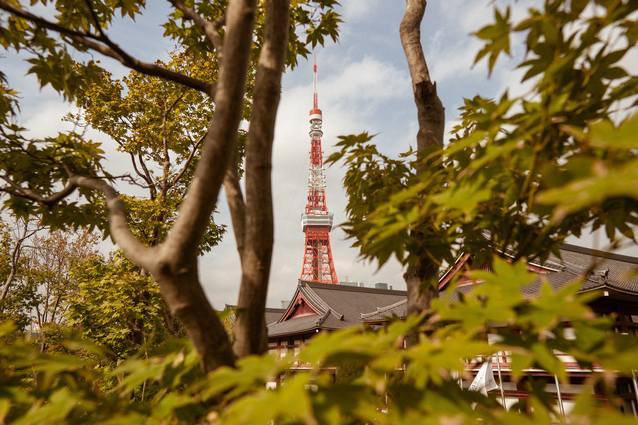 Niko is a World Traveler.