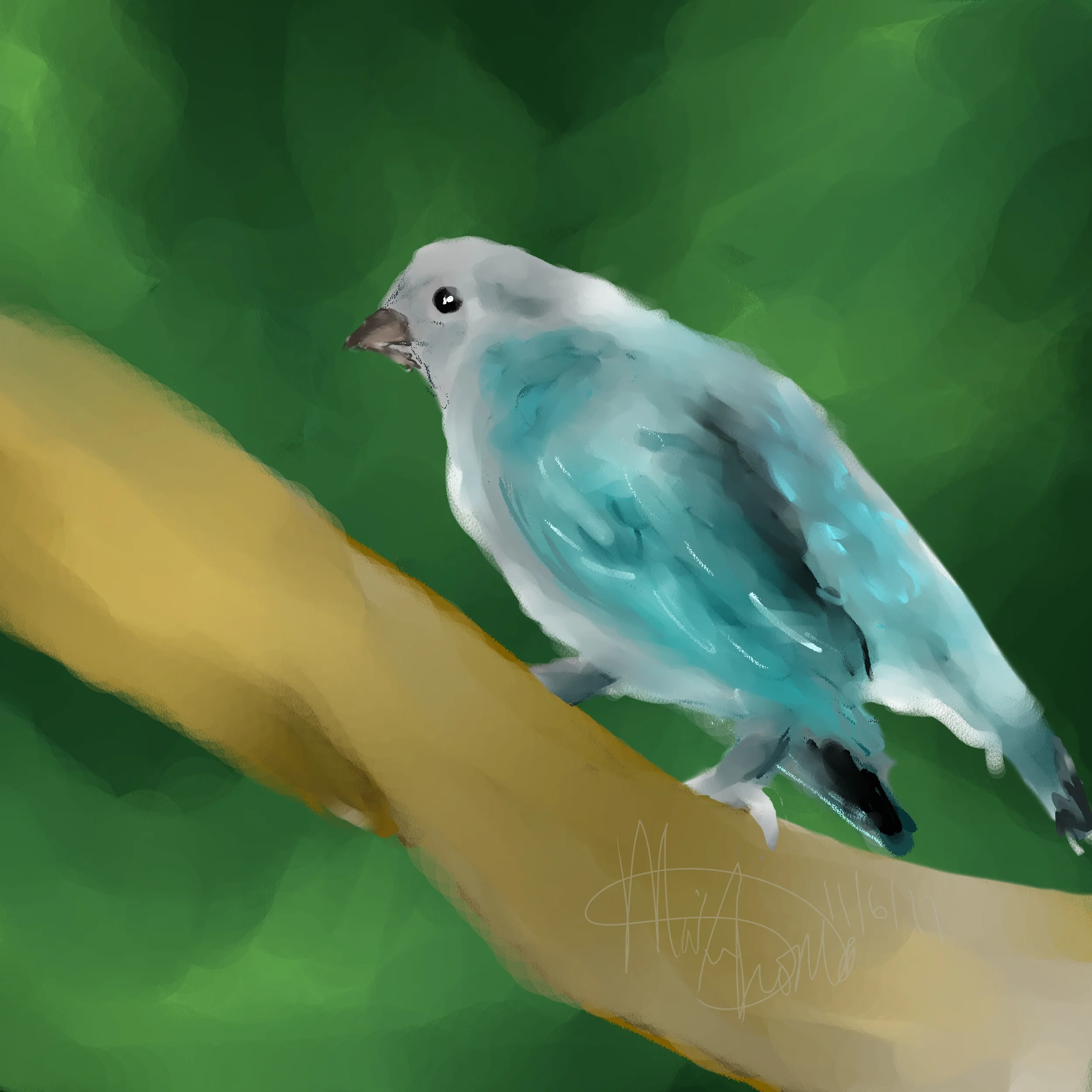 BirdSpeedPaint2.jpg