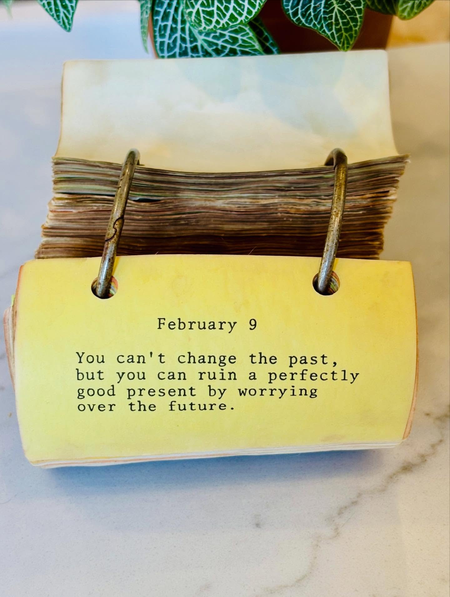 It&rsquo;s as if Therapist David commandeered the calendar this week.

Anxiety. Comparison.

&ldquo;There&rsquo;s an opportunity here.&rdquo;

If you know, you know.