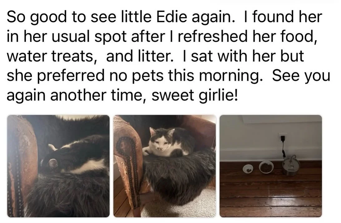 The cat sitter&rsquo;s official morning report.

Found Little Edie in her usual spot after refreshing food, water, treats, and litter. I sat with her for a bit but she preferred no pets this morning.

SHE PREFERRED NO PETS THIS MORNING 😂