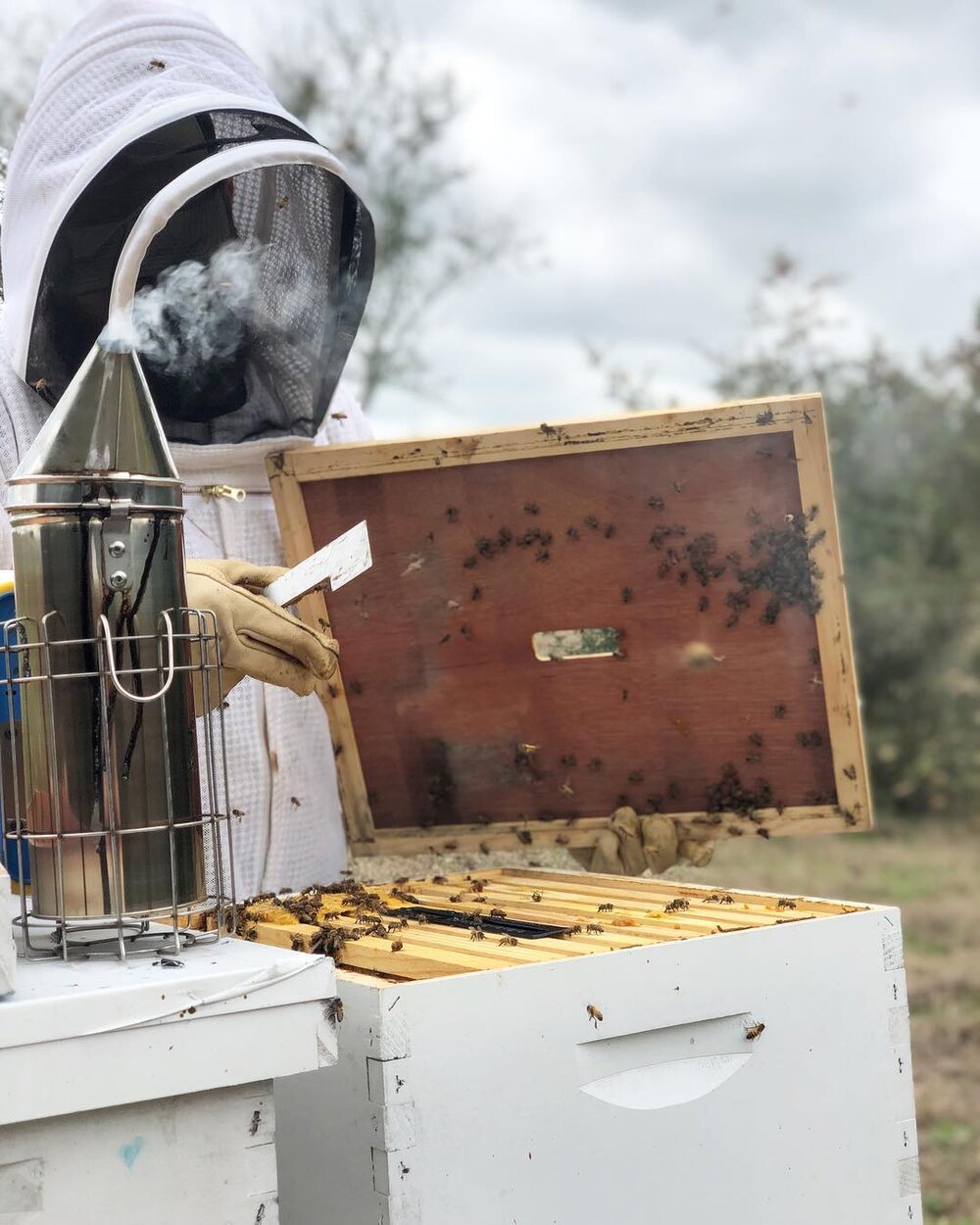 Meet Nordic Honey beekeepers — Nordic Honey