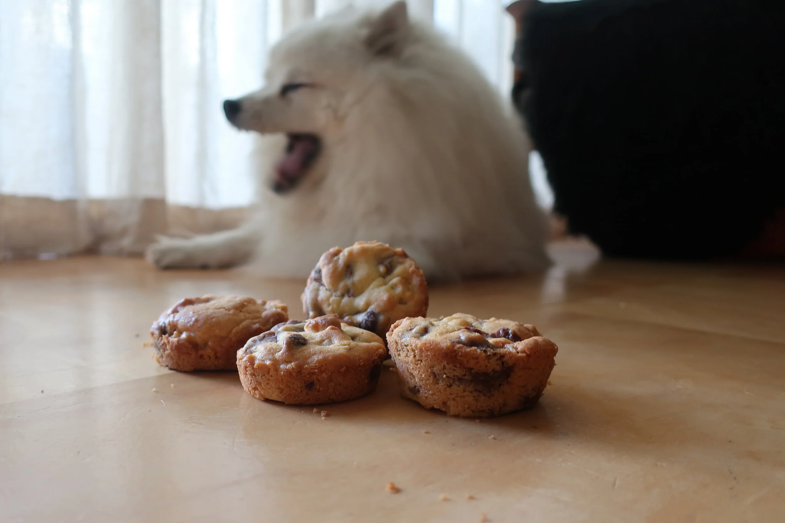 Choc Chip &amp; Macadamia Shortbread Cups