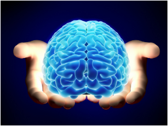 Neurophysiology is a big word!