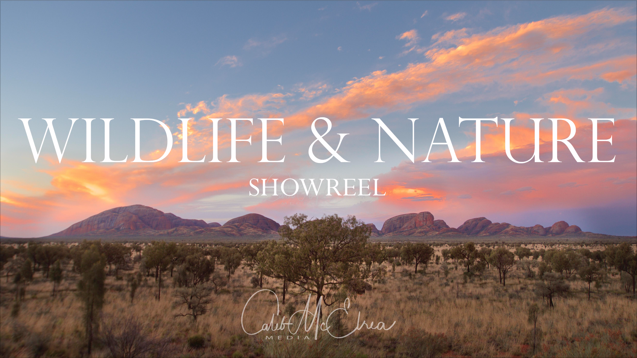 Wildlife & Nature Showreel - Caleb McElrea