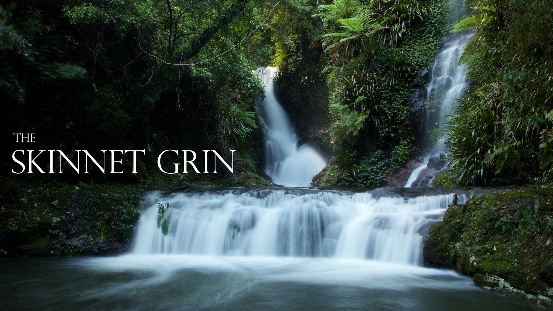 The Skinnet Grin