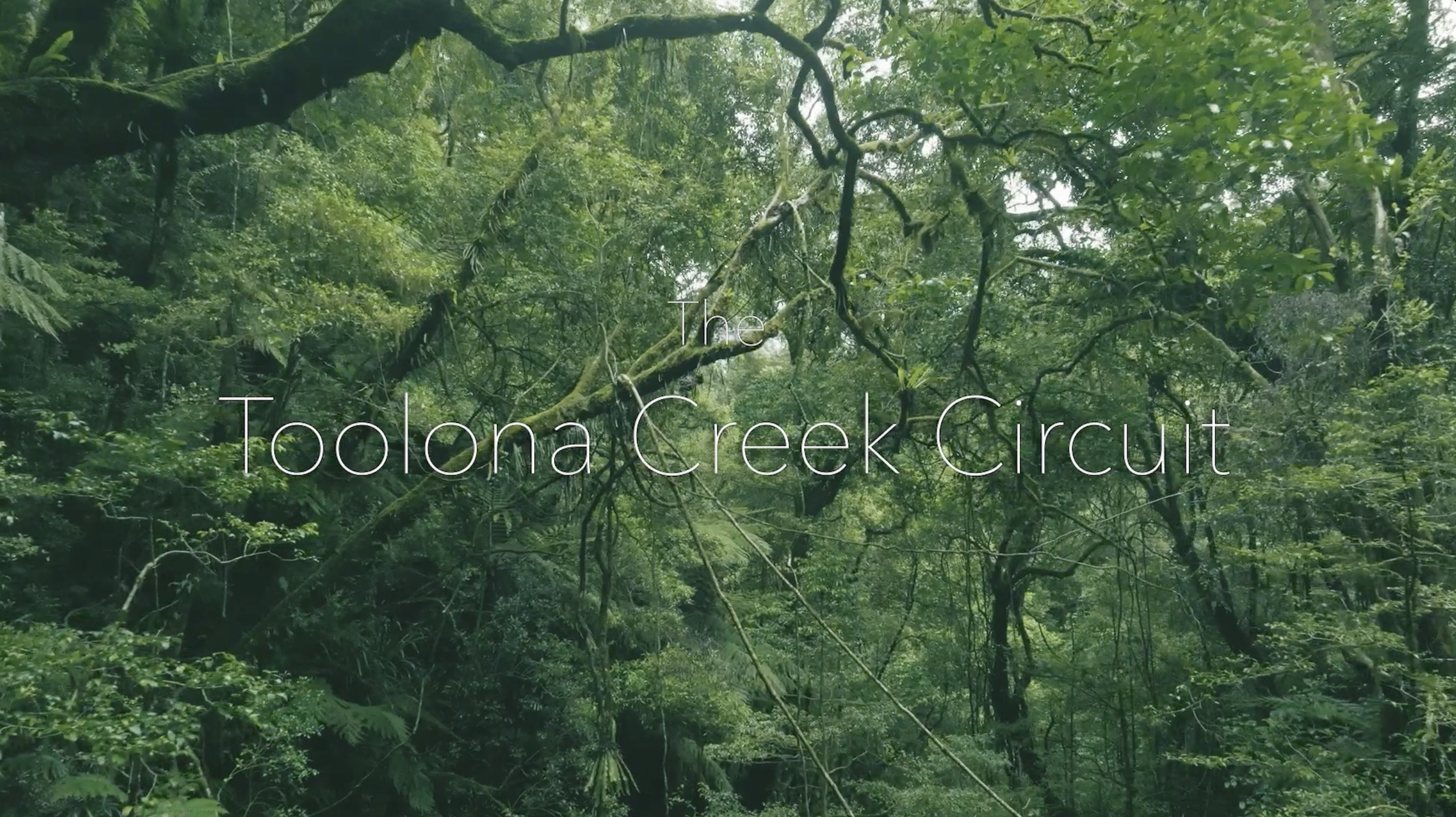 RTW Shorts - Toolona Creek Circuit