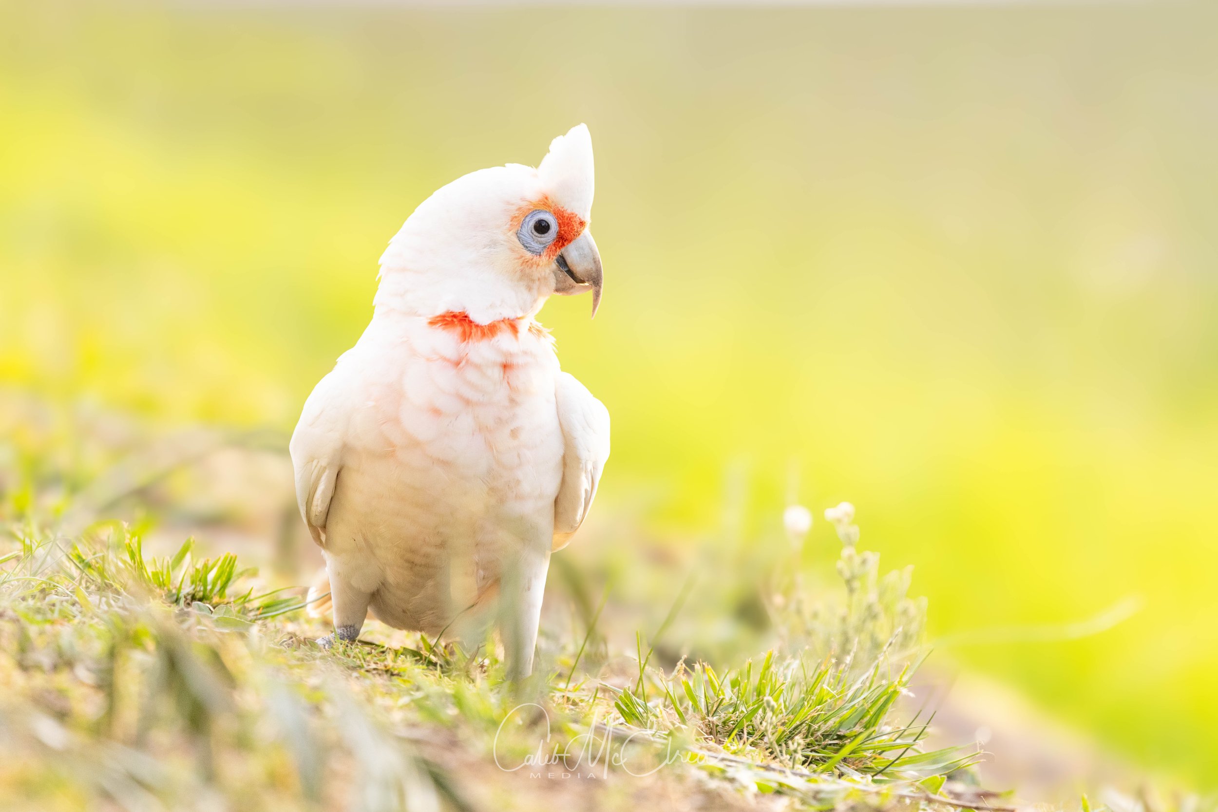 049A8326-Edit.jpg