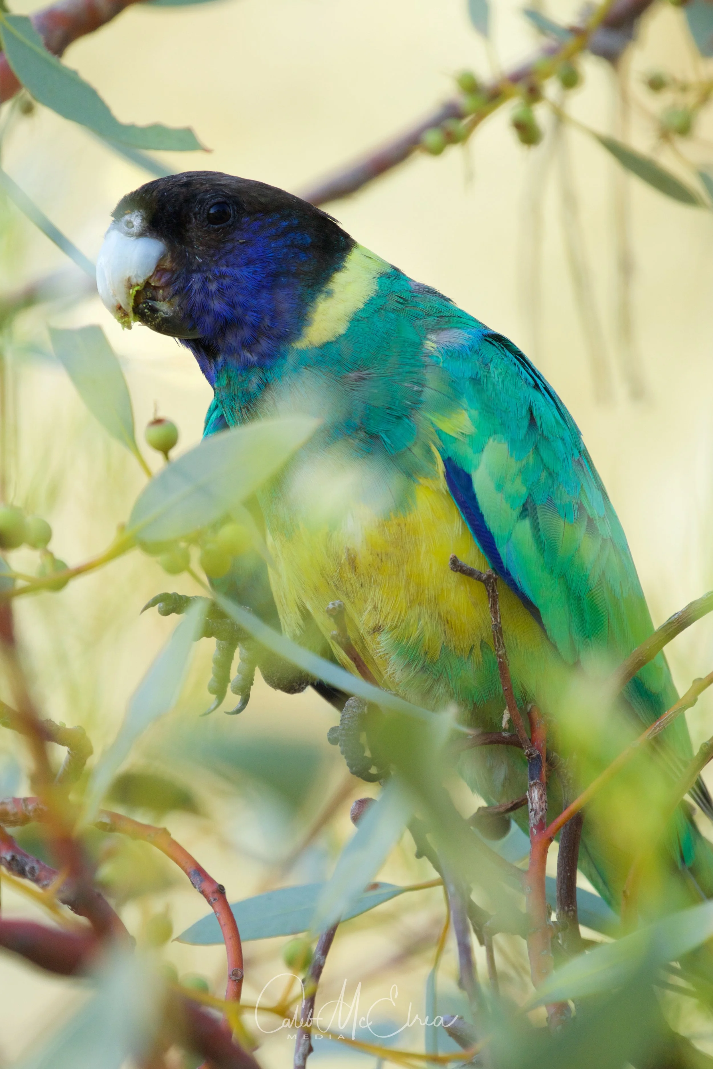 077A0914.jpg