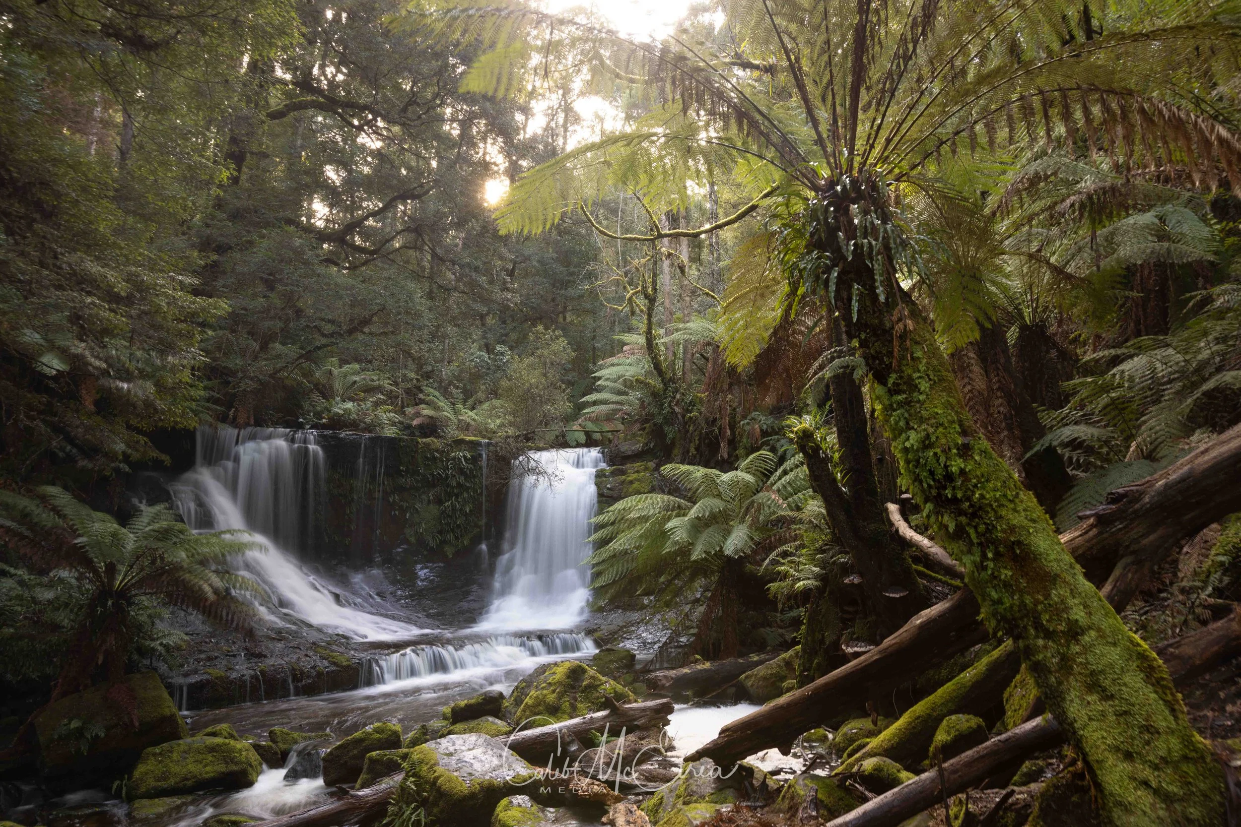Horseshoe Falls, Mt Field NP