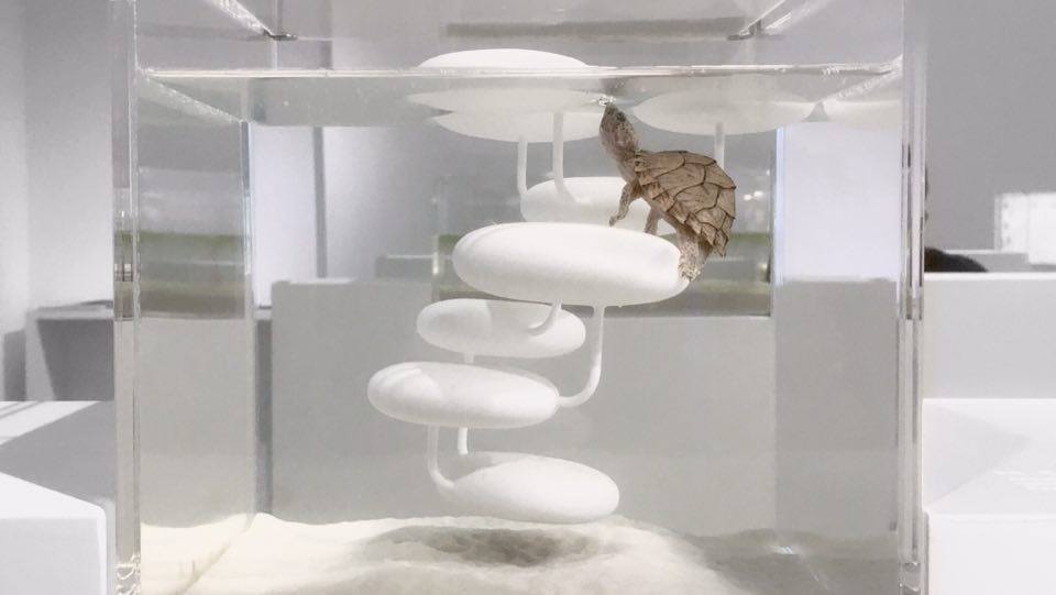 人氣獎5