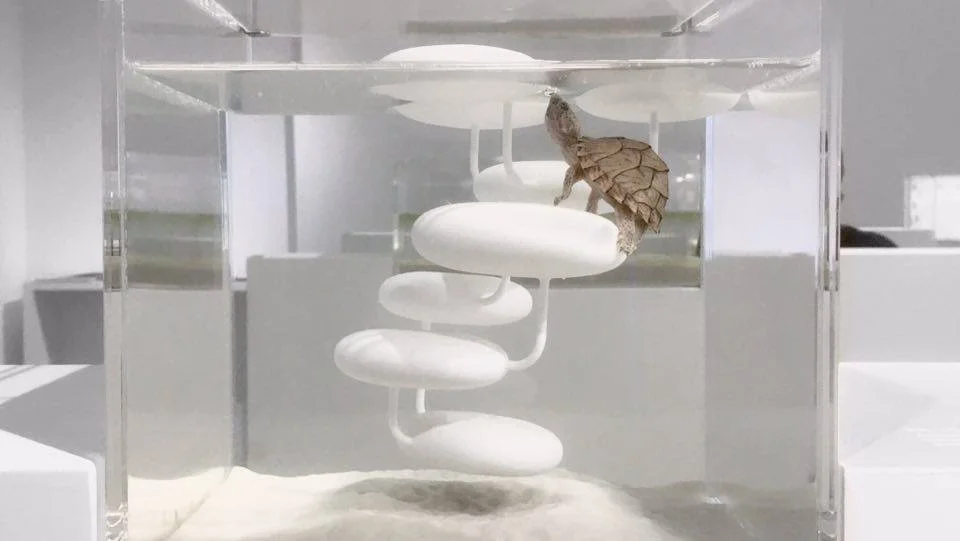 人氣獎5
