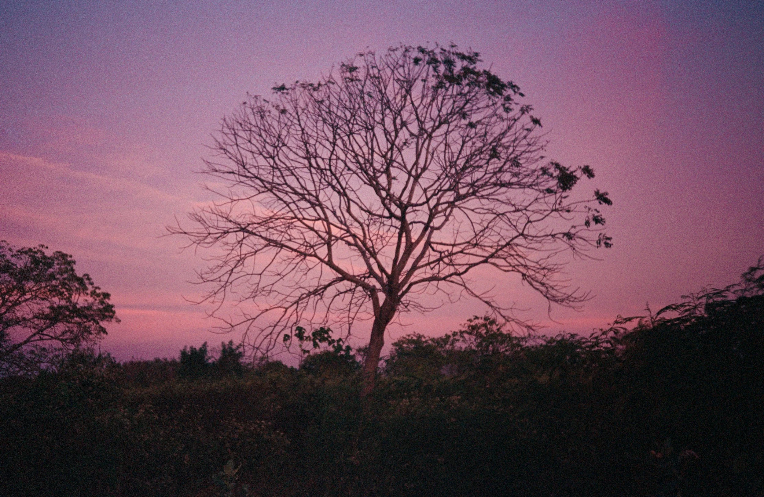 B08.jpg