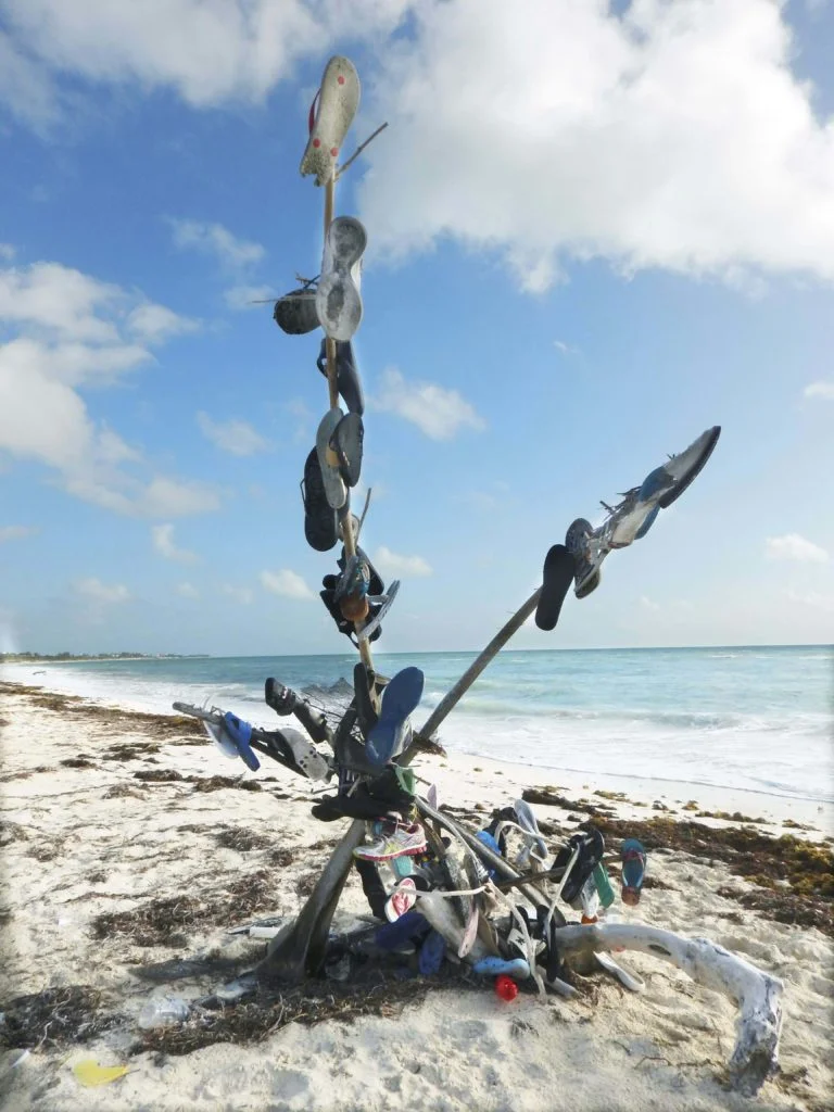 shoe-tree-768x1024.jpg