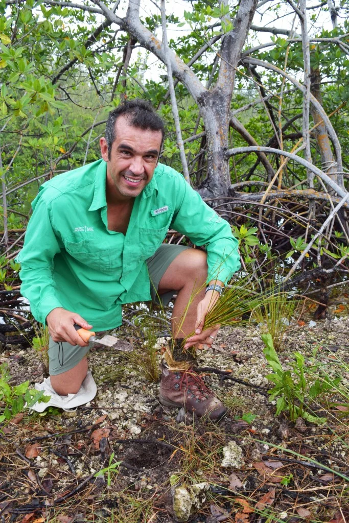 Fernando-planting-vertical_1-683x1024.jpg