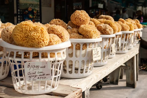 Sponges for sale. Amanda Mortimer/Dreamstime.com