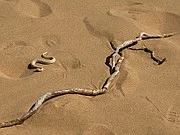 kiti.IMG_1370_t180.jpg