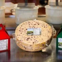 Knoydart Cheese