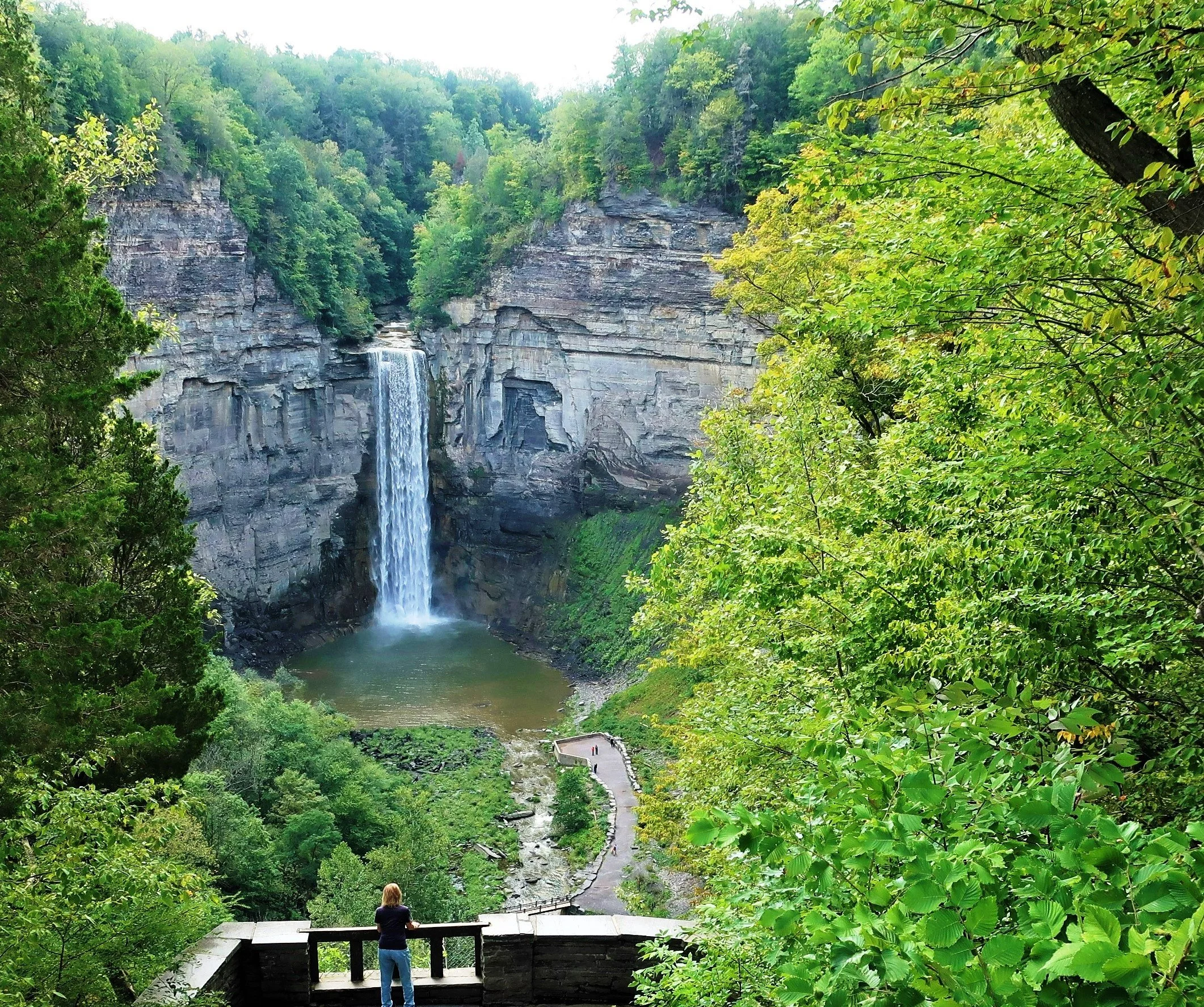 Join Us in Ithaca, NY: A Land of Gorges, Greenery, Gardens and Goats!