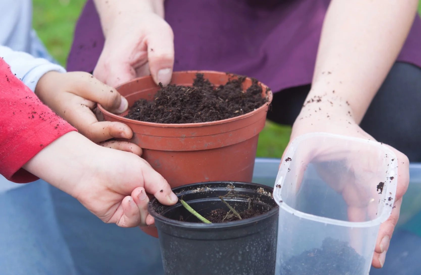 A close view of pots being filled with compost