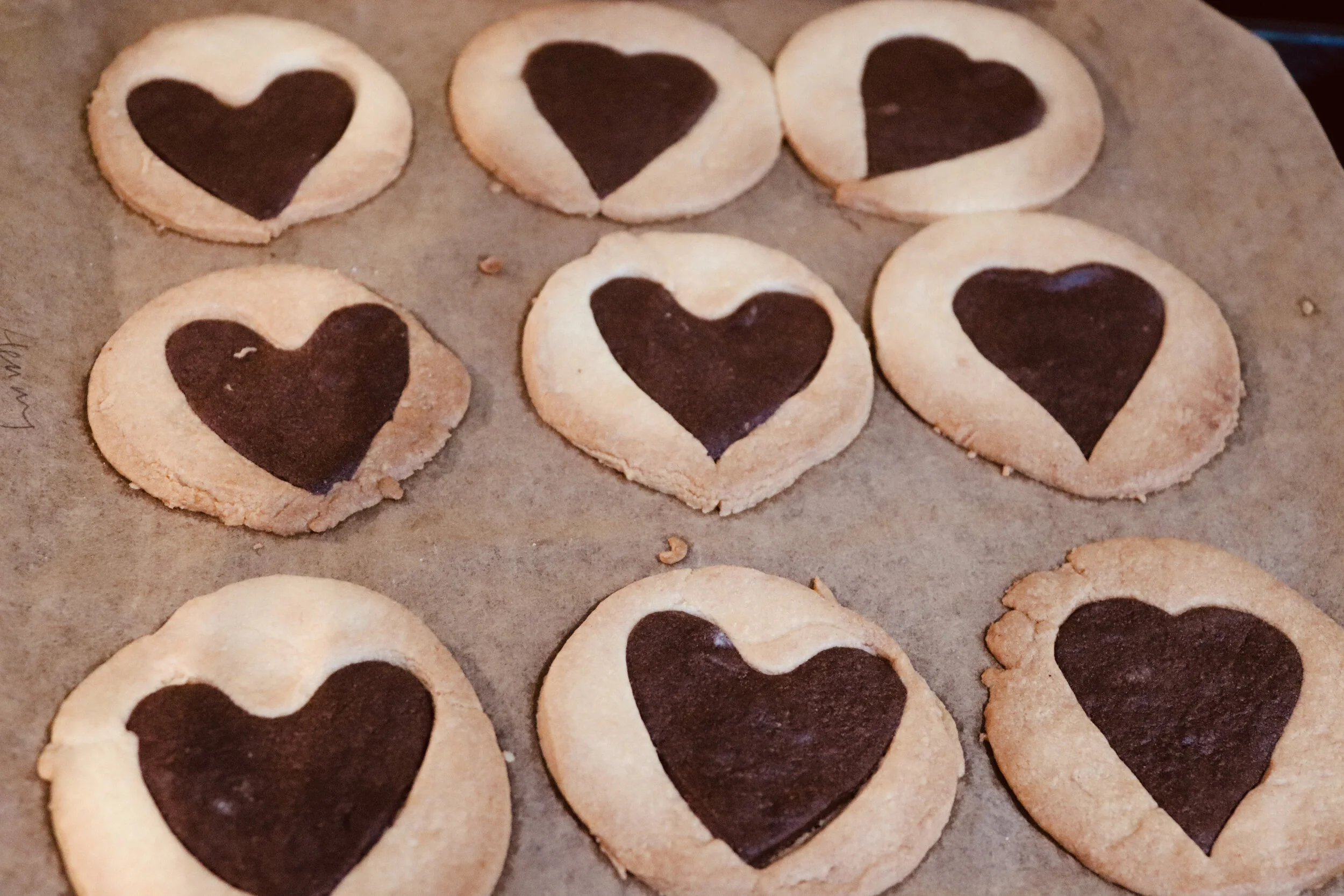 10801239680_IMG_0212 2.JPG