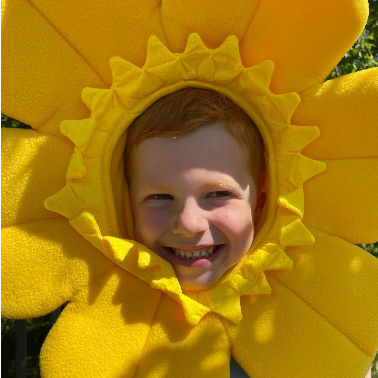 World Bee Day! At Grow Cook Enjoy we are passionate about bees, we host workshops and assembly's teaching children all about bees. They are curriculum linked and great for hands on learning. See our website for details https://www.growcookenjoy.co.uk