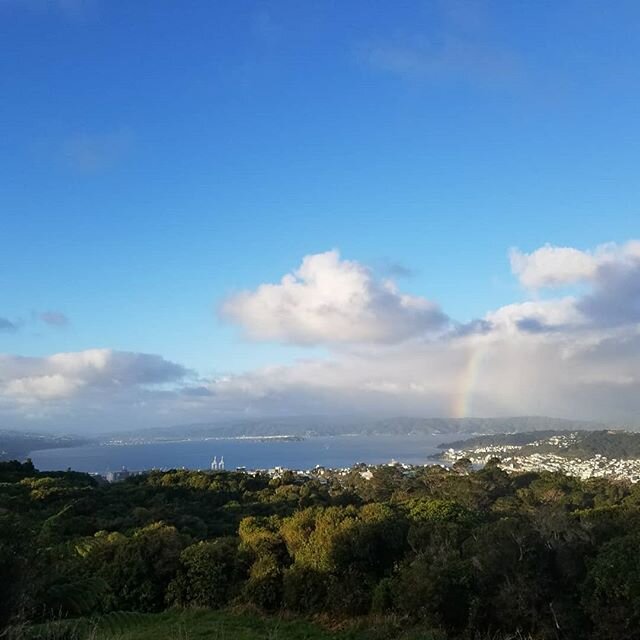 Rainbow over Days Bay lasted 45 minutes.

#nz #wellington #newzealand #rainbow