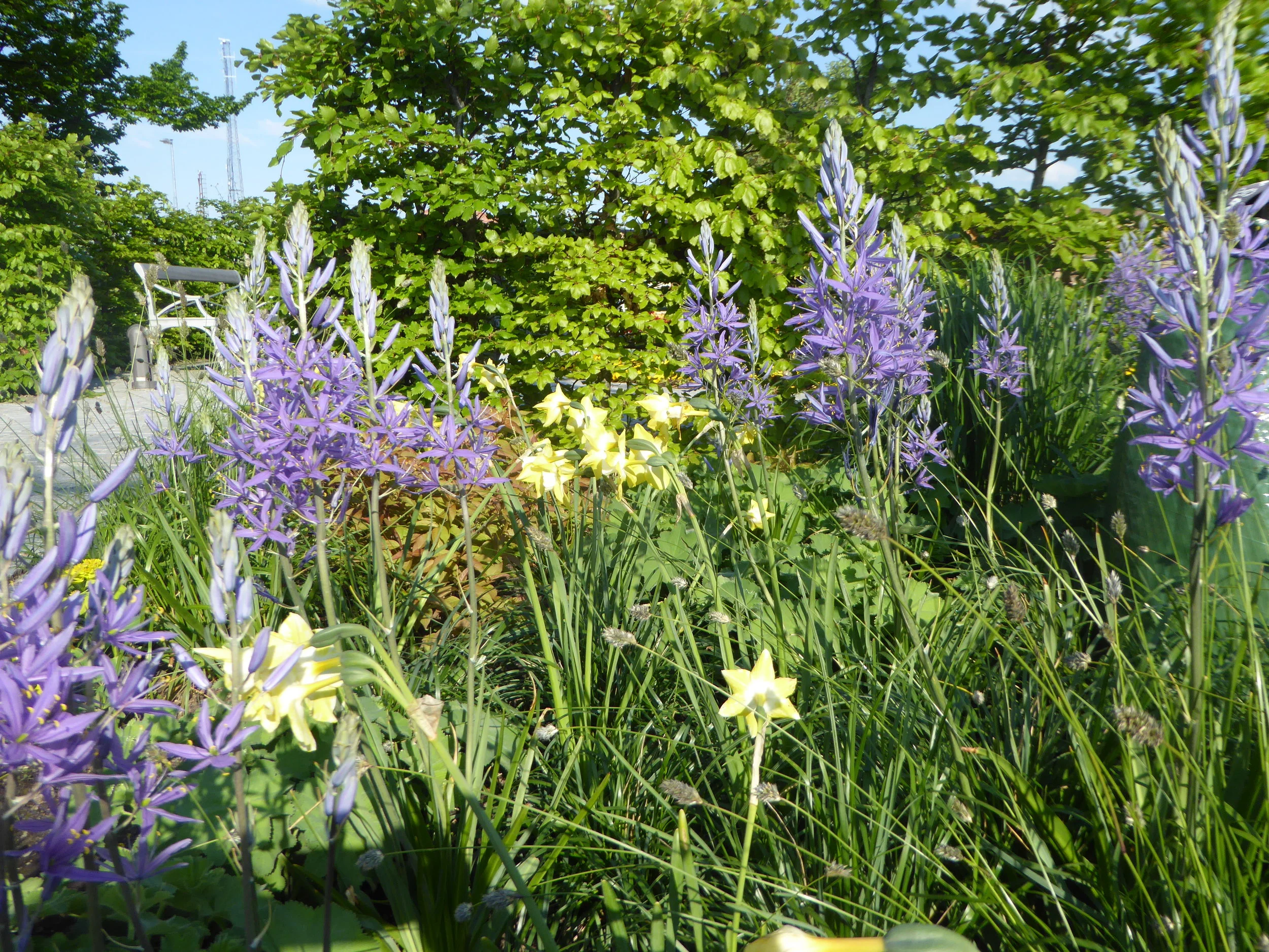 P1080200.JPG