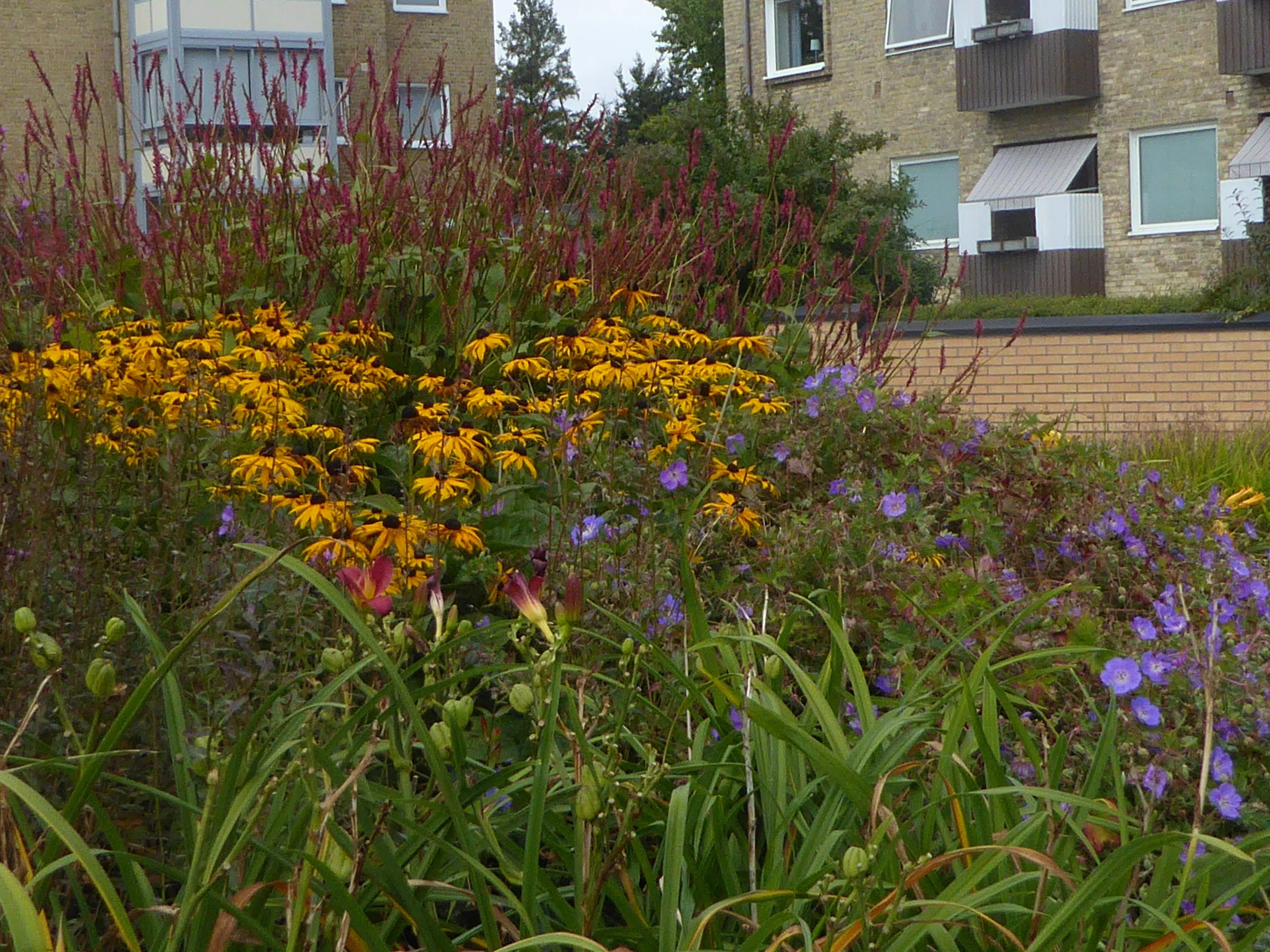 P1020303.JPG