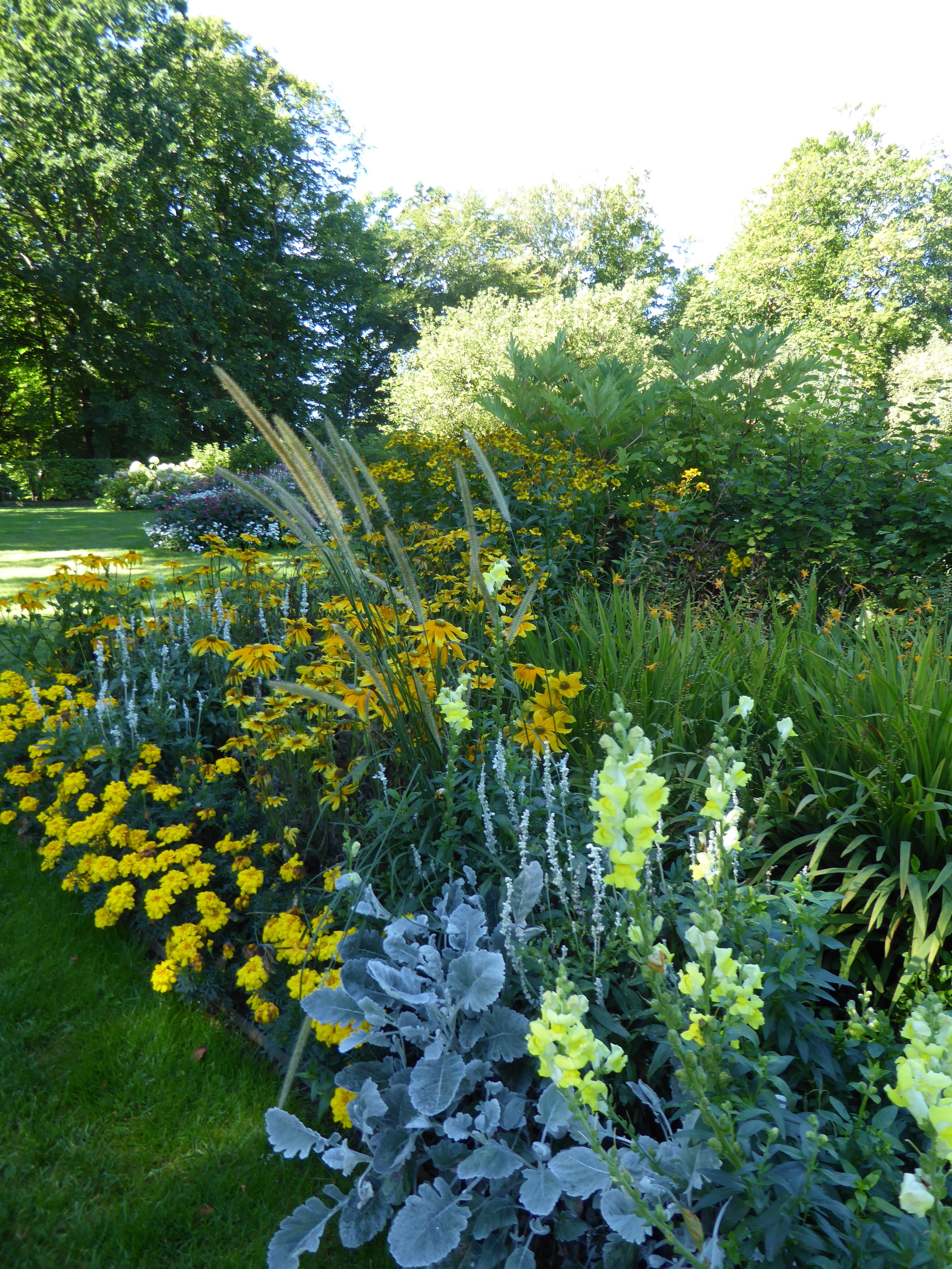 P1020664.JPG