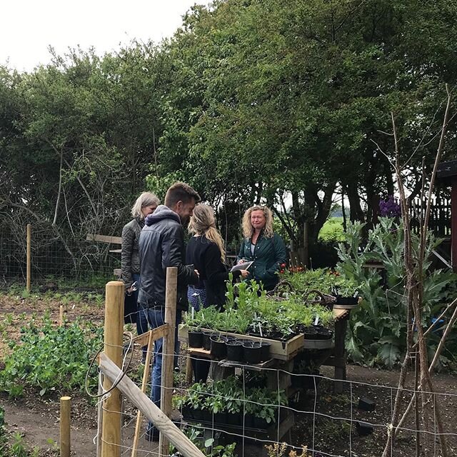 Vilken dag! Har haft smygpremi&auml;r idag. Erkes tr&auml;dg&aring;rd &auml;r invigd idag med folk fr&aring;n v&aring;r gata och n&aring;gra till utsocknes under 4 h drop in. Det har sk&aring;lats i bubbel, pratats tr&auml;dg&aring;rd, och &auml;ven 