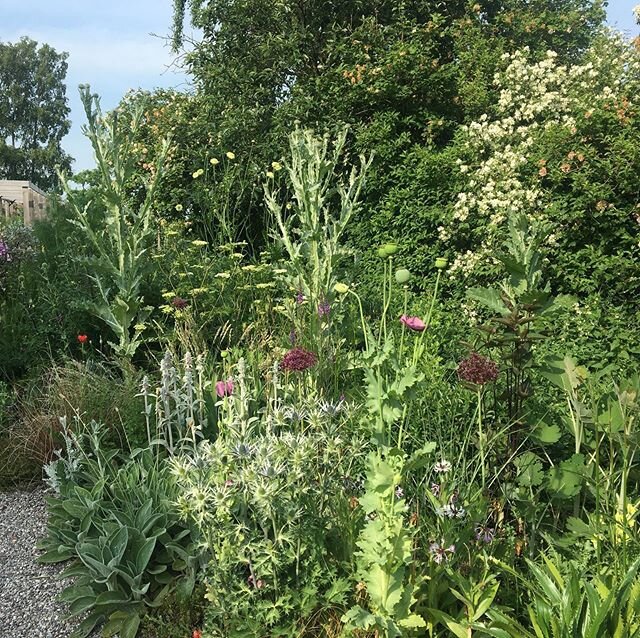 Midsommar i Erkes tr&auml;dg&aring;rd..&Ouml;nskar er alla en fin midsommarkv&auml;ll!