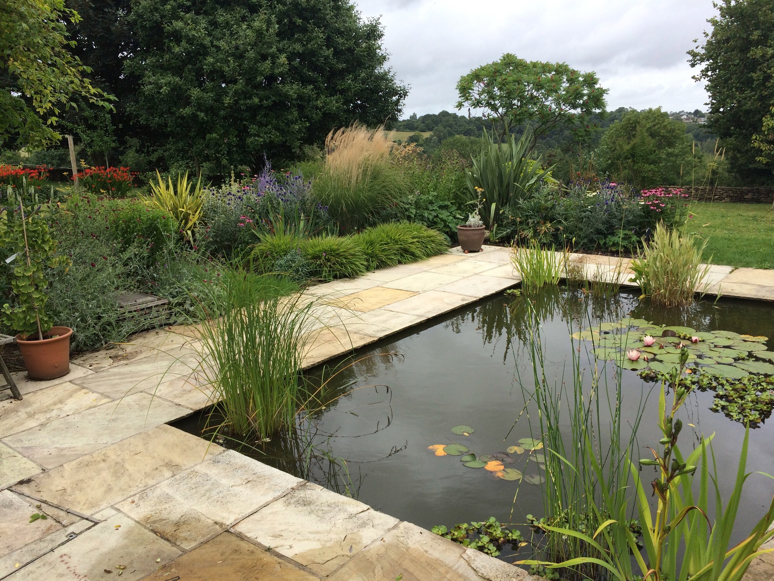 2 years after completion and the full impact of the scheme can really be seen. The mixed planting scheme gives movement, colour & structure and acts as a brilliant background for the pond itself.