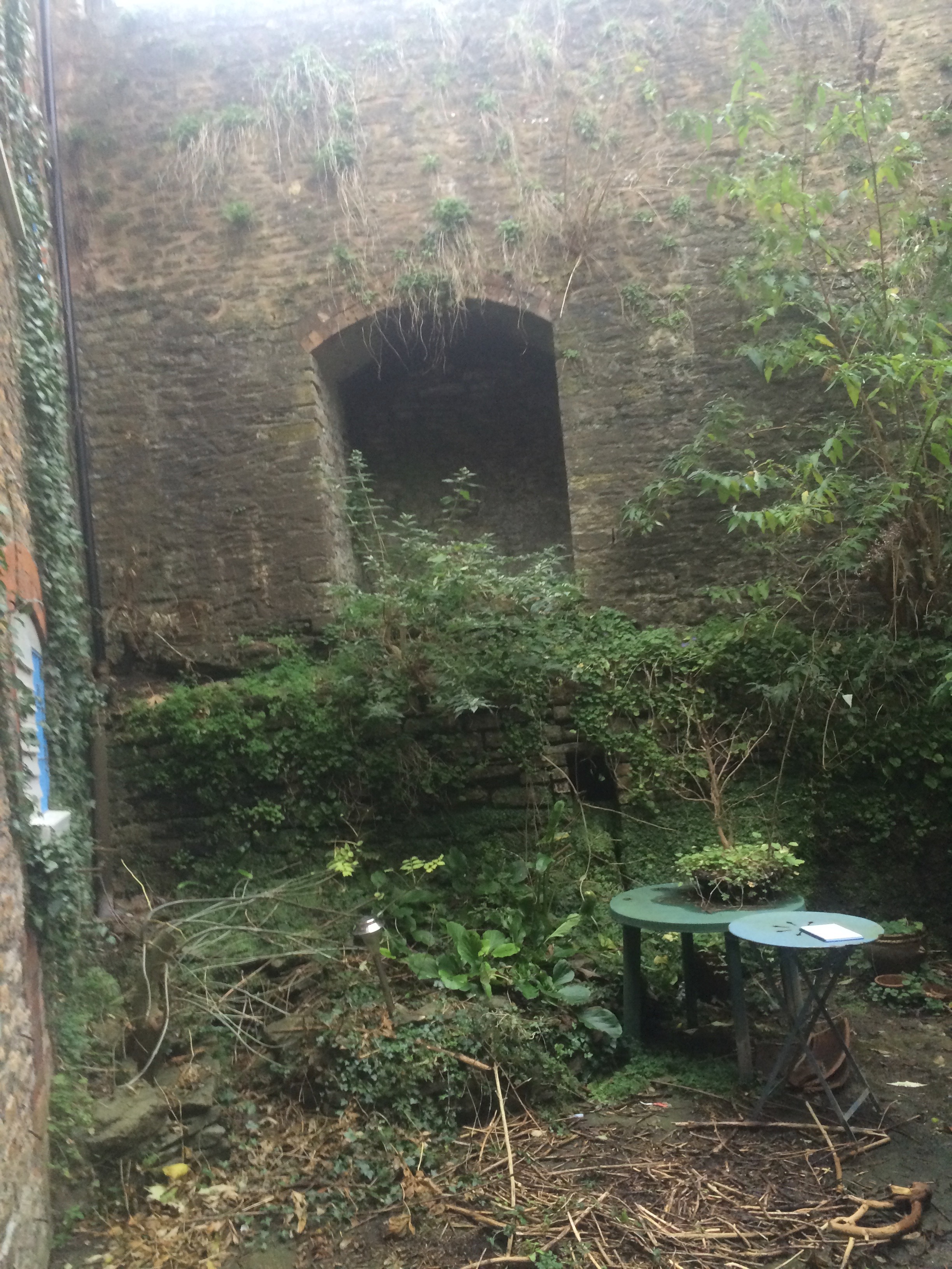 This dank, overgrown disaster was the only place the workers at this office had to sit outside. Not enticing ....