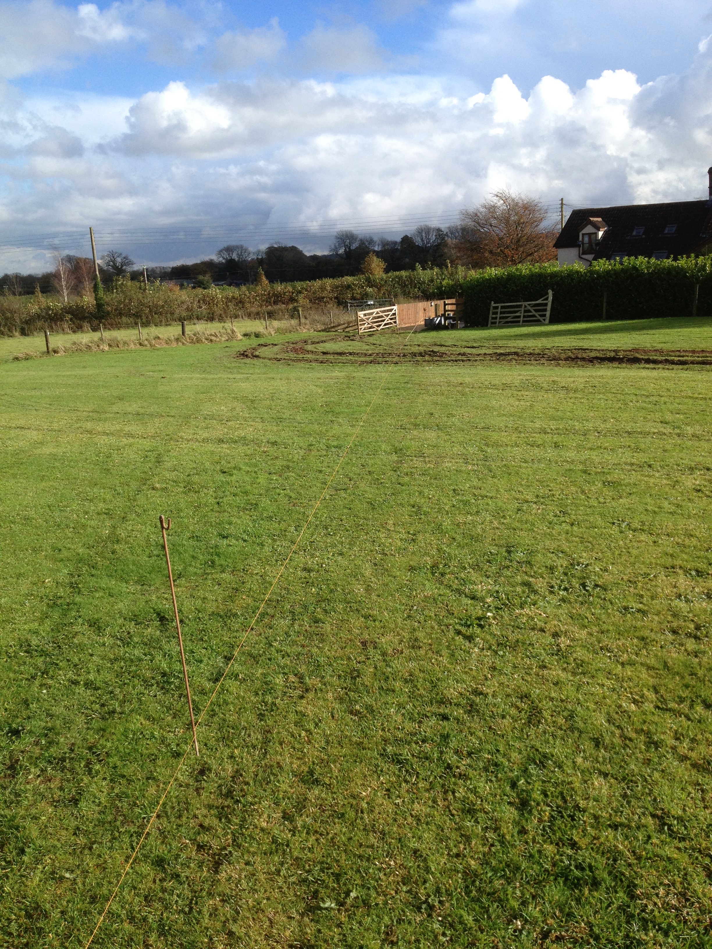 Our starting point. A basic paddock ready to be turned into a small woodland.