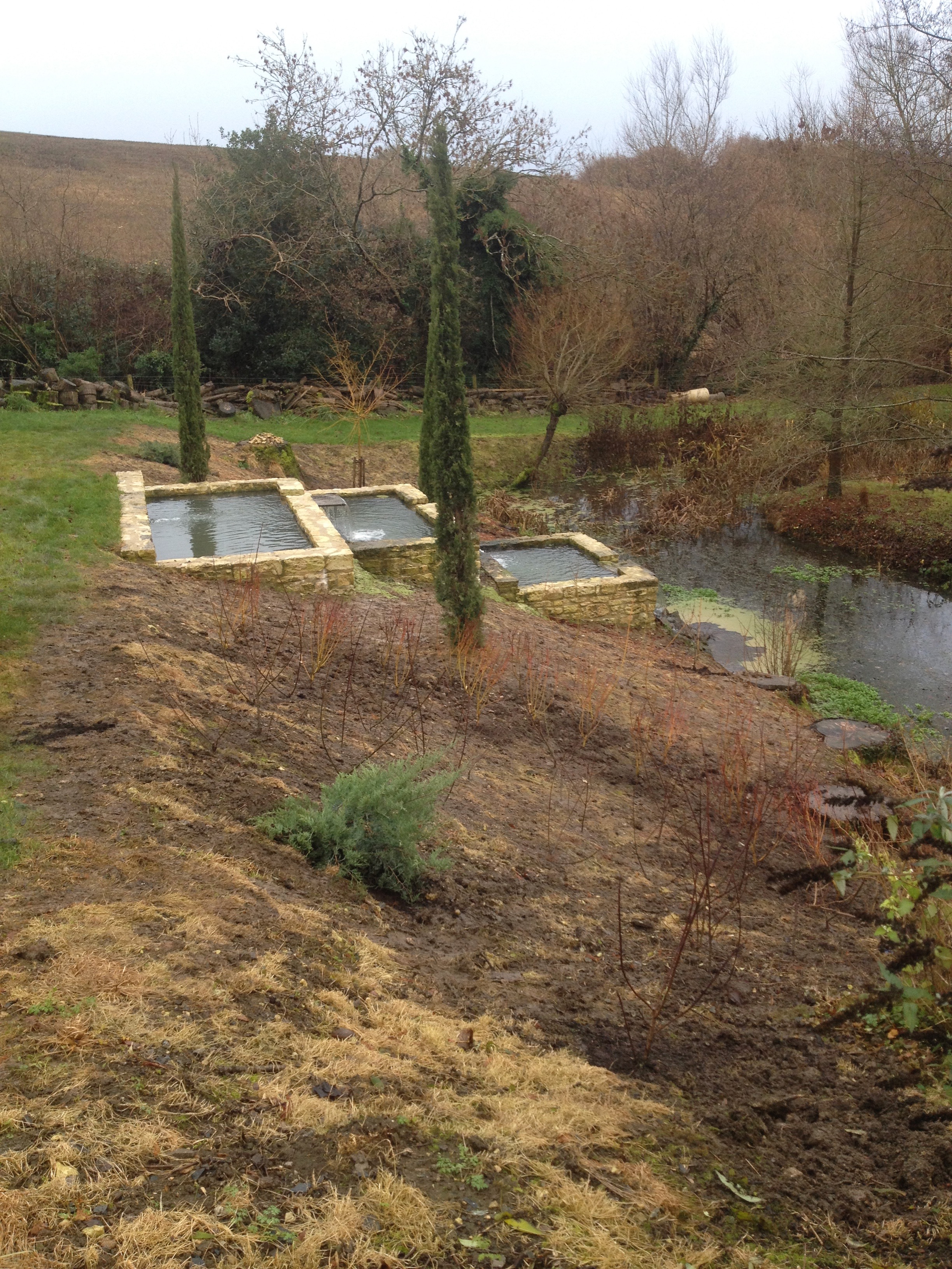 Mixed willows are used to plant the bank for winter colour, with prostrate juniper used at the top of the bank. A project we are all really proud of.